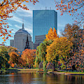 Autumn in Boston's Public Garden